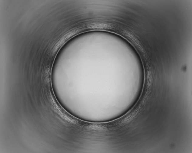 X0000116041033200912111434