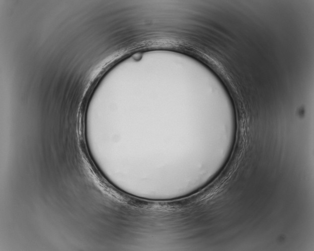 X0000116041034200912111434