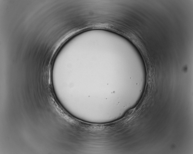 X0000116041036200912111434