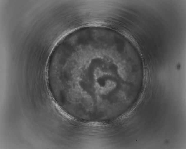 X0000116041037200912111434