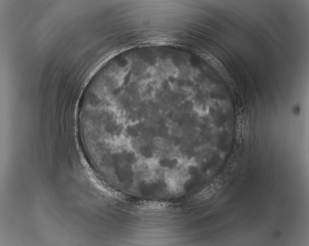 X0000116041039200912111434