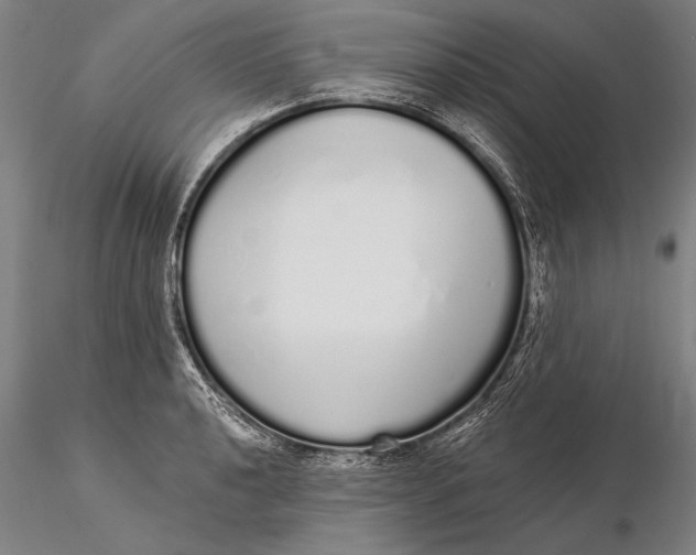 X0000116041040200912111434