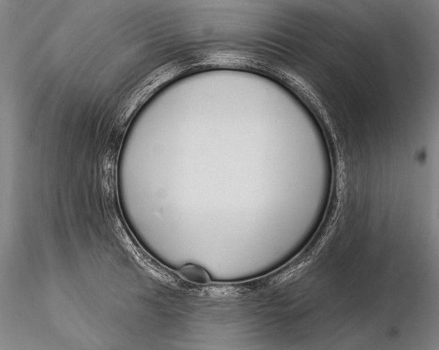 X0000116041041200912111434