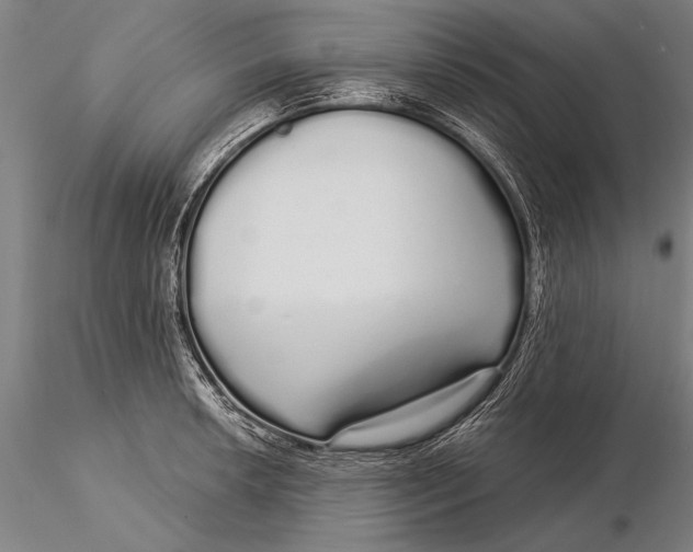 X0000116041042200912111434