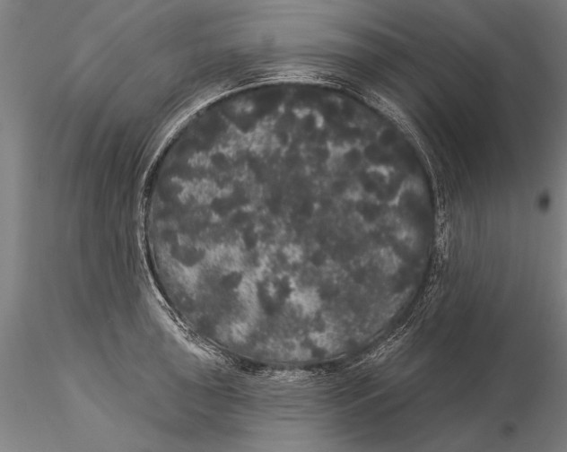 X0000116041043200912111435