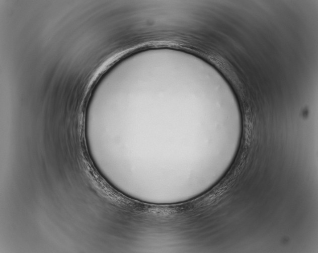 X0000116041044200912111435