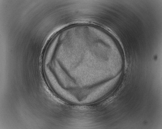 X0000116041045200912111435