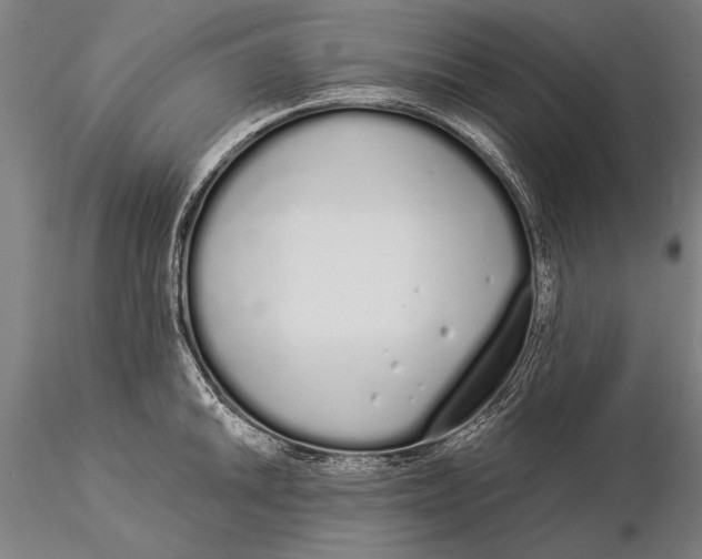 X0000116041046200912111435