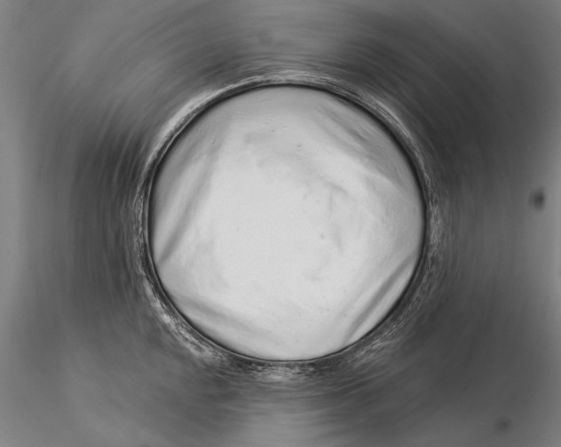 X0000116041048200912111435