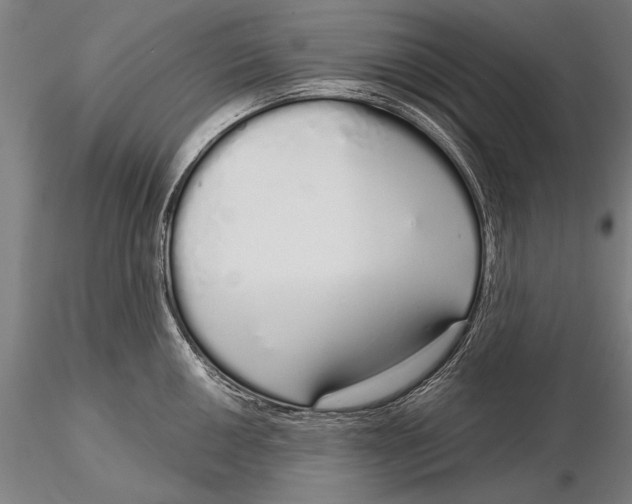 X0000116041050200912111435