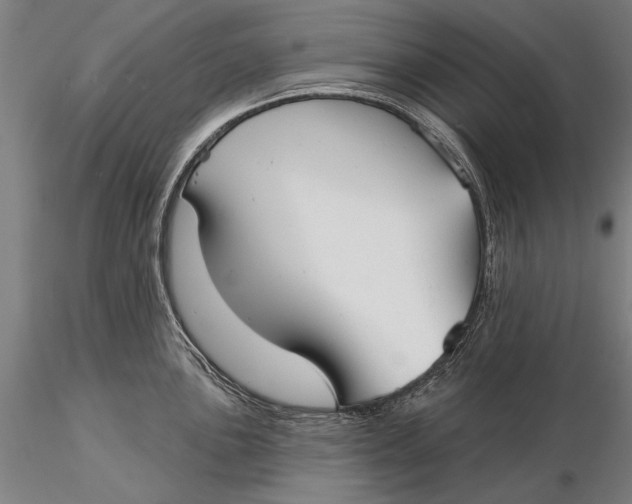 X0000116041051200912111435