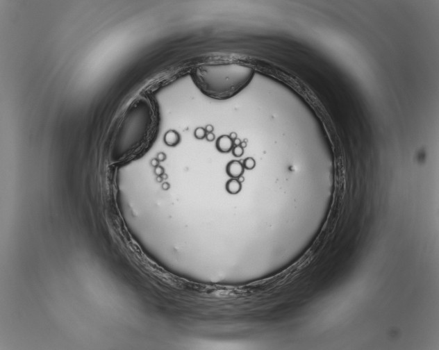 X0000116041054200912111435