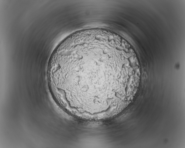 X0000116041055200912111435