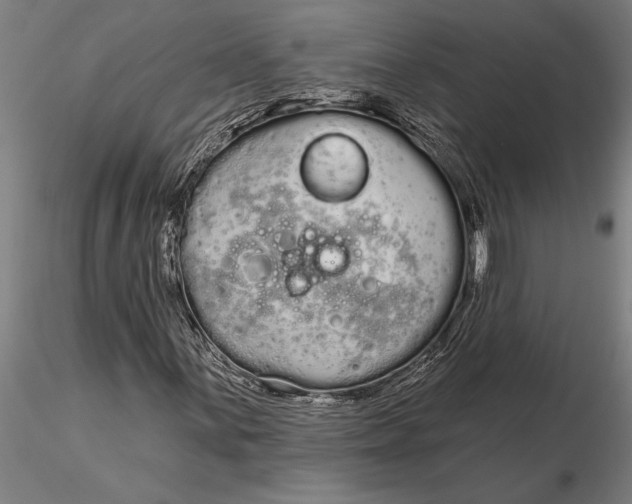 X0000116041059200912111434