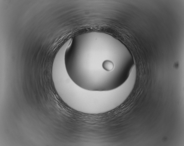 X0000116041060200912111434