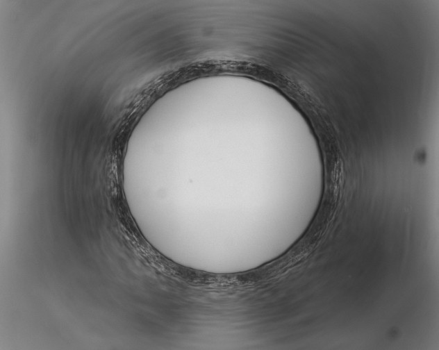 X0000116041062200912111434