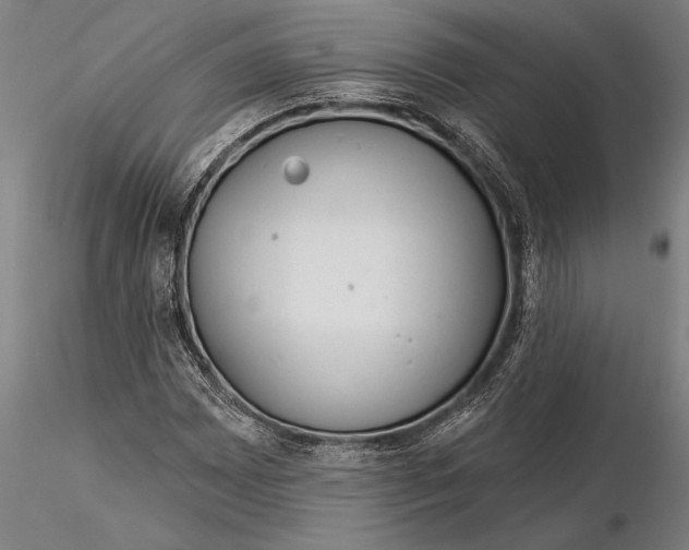 X0000116041065200912111434