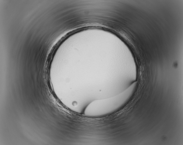 X0000116041068200912111434