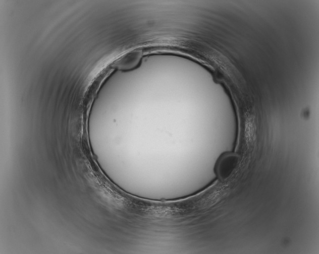 X0000116041069200912111434