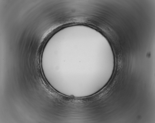 X0000116041070200912111434