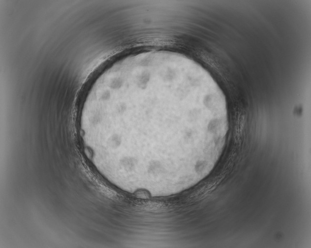 X0000116041071200912111434