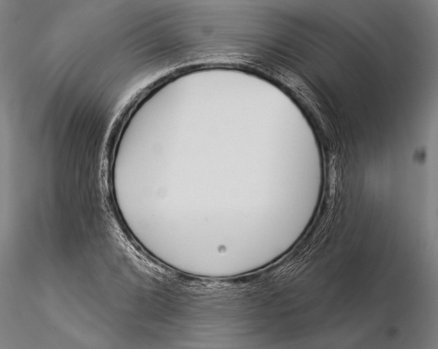 X0000116041072200912111434