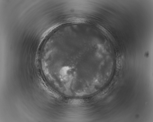 X0000116041074200912111434