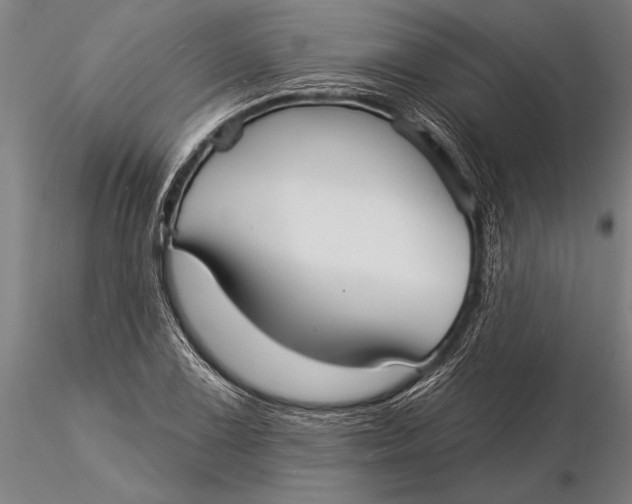 X0000116041075200912111434