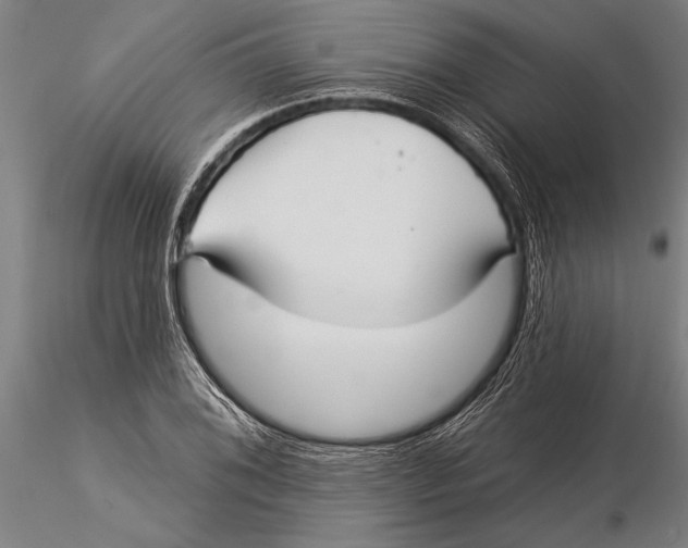 X0000116041076200912111434