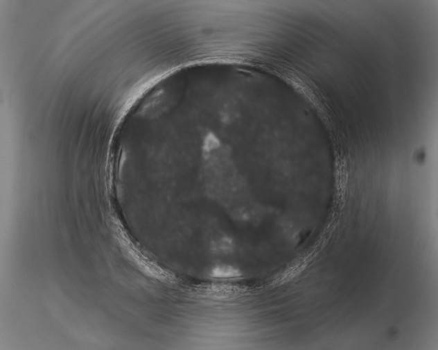 X0000116041077200912111434