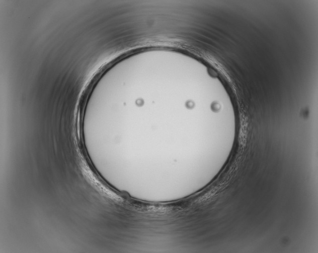 X0000116041080200912111434