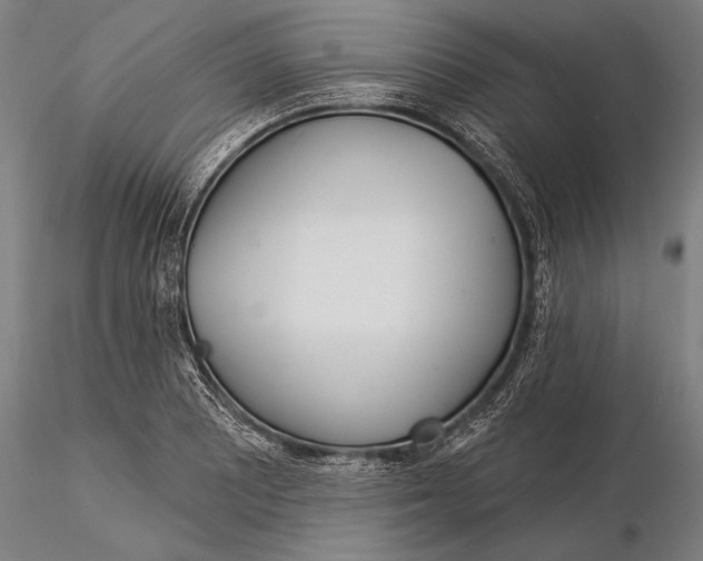 X0000116041081200912111434