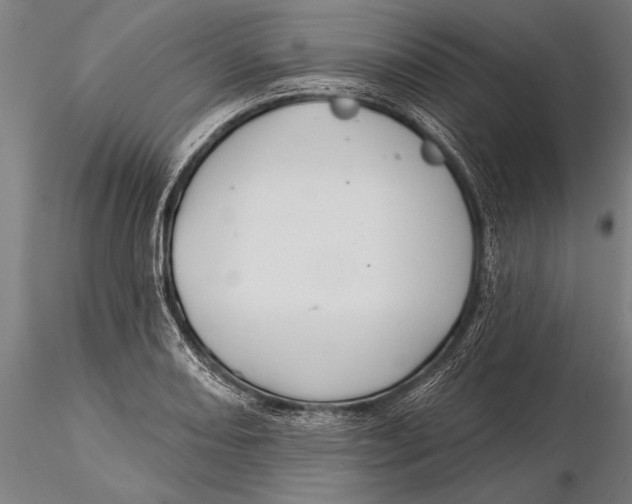 X0000116041082200912111434