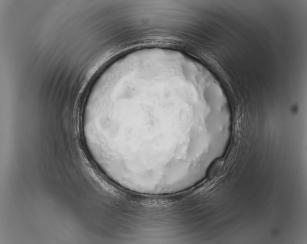 X0000116041083200912111433