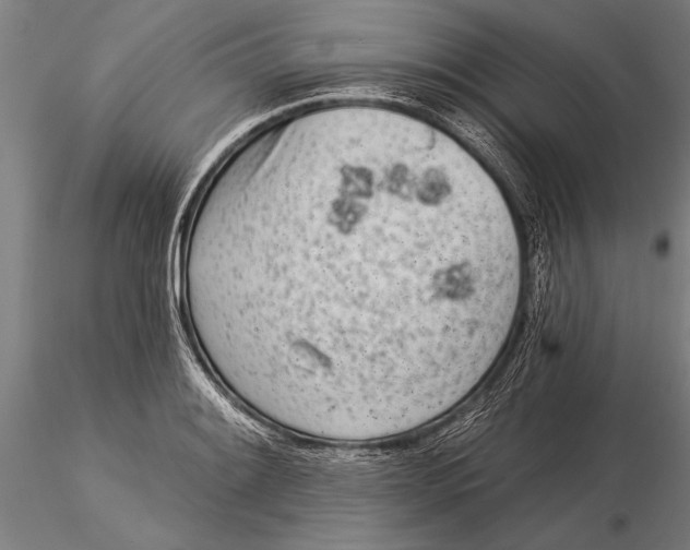 X0000116041084200912111433