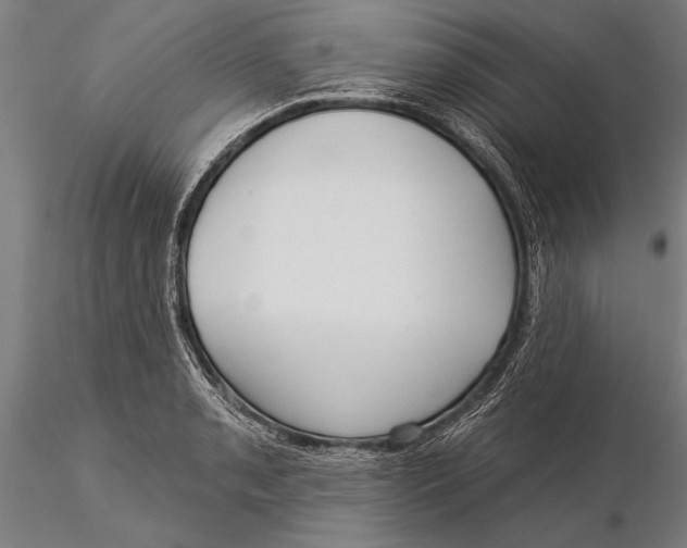 X0000116041085200912111433