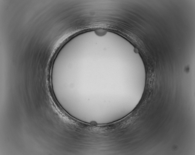 X0000116041086200912111433