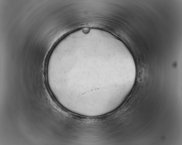 X0000116041087200912111433