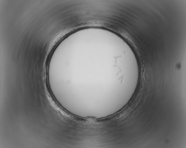 X0000116041088200912111433