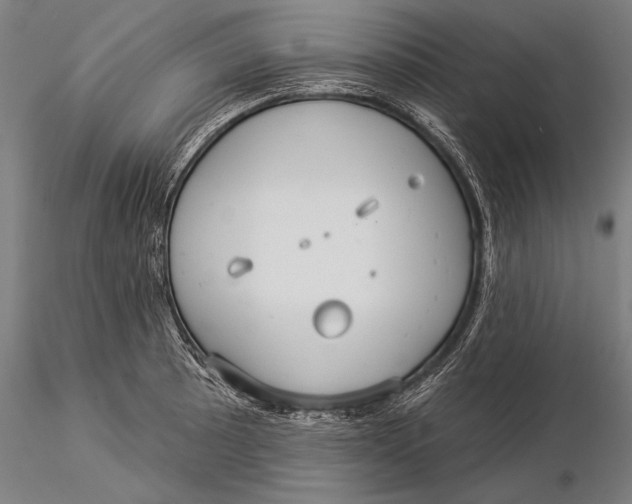 X0000116041089200912111433