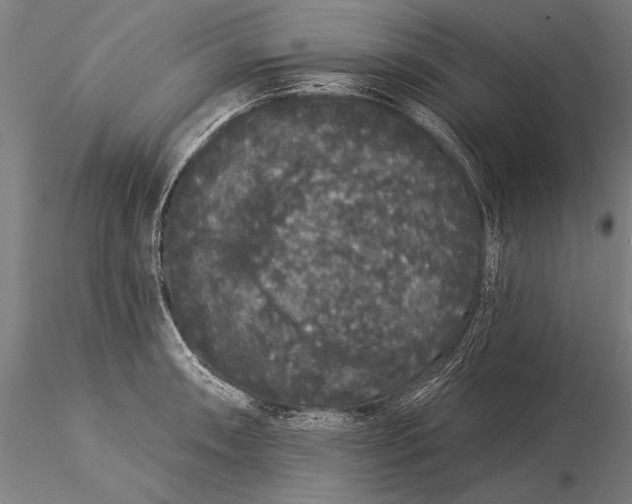 X0000116041090200912111433