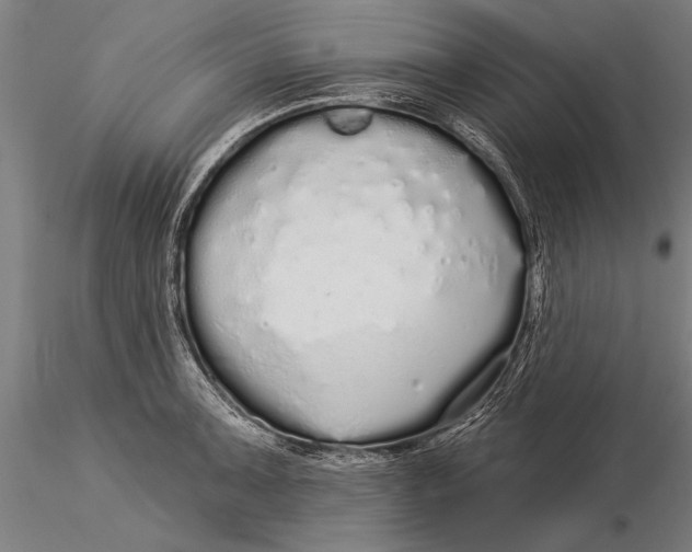 X0000116041091200912111433