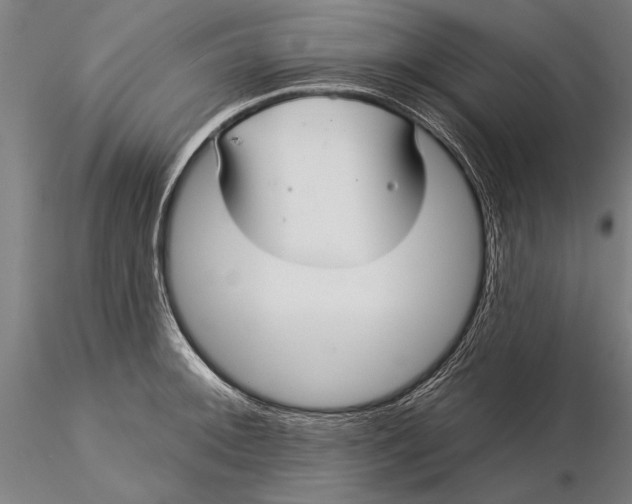 X0000116041092200912111433