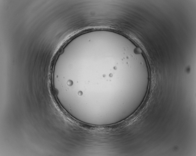 X0000116041093200912111433