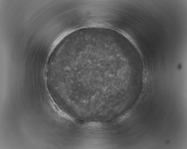 X0000116041094200912111433