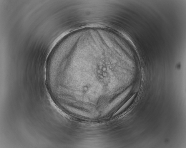 X0000116041095200912111433