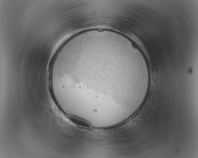 X0000116041096200912111433