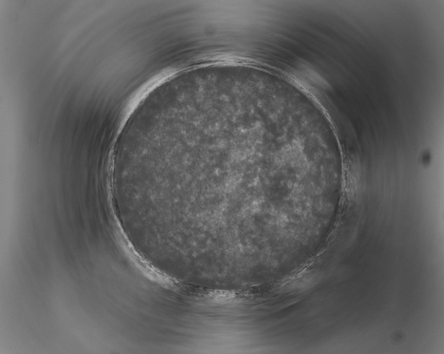 X0000116041098200912111433