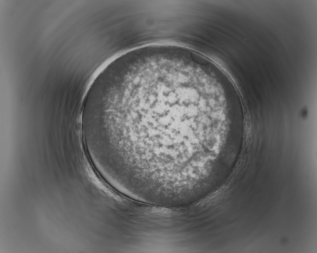 X0000116041100200912111433