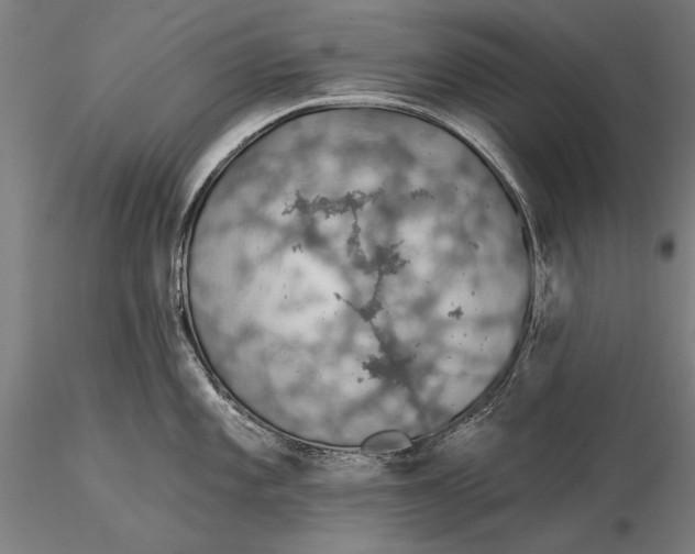 X0000116041101200912111433